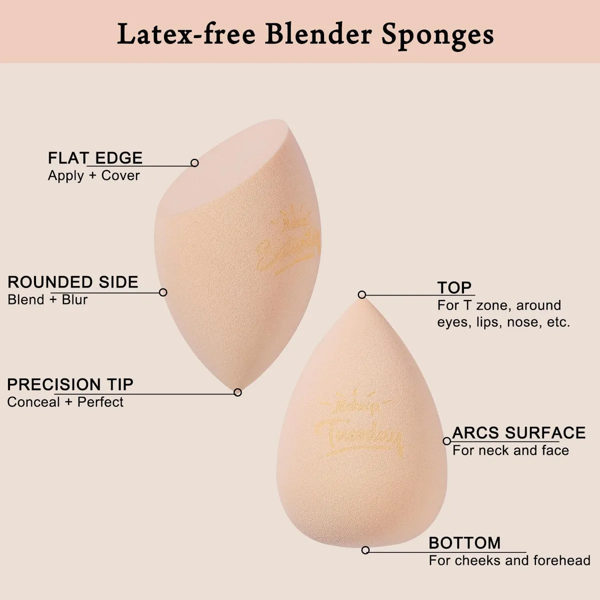 weekday makeup sponge shape guide with flat edge, rounded side and precision tip